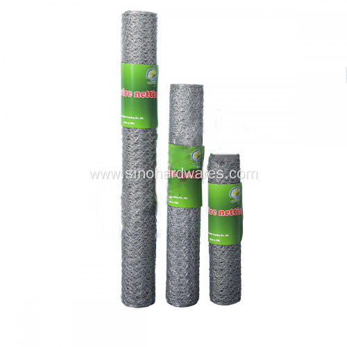Hot Dipped Galvanized Poultry Netting
